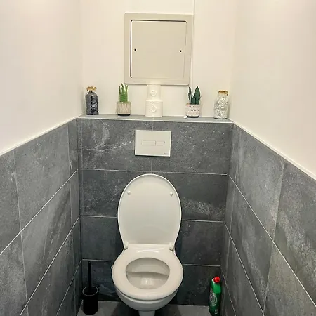 Luxurious Flat At St Gervais Appartement